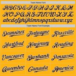 Custom Jersey Braun-Weiß Baseball Authentic Gold